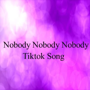 อัลบัม Nobody Nobody Nobody Tiktok Song ศิลปิน lo Mejor