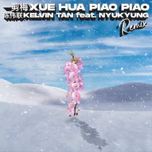收聽陳偉聯的Yi Jian Mei Xue Hua Piao Piao (Remix)歌詞歌曲