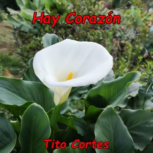 Listen to Hay Corazón song with lyrics from Tito Cortés
