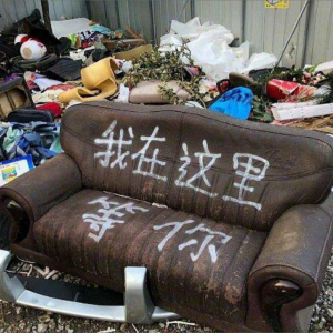 Album 结婚 solo oleh 口琴伟宝