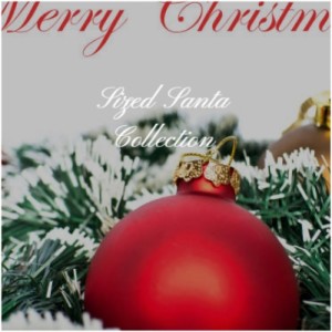 Album Sized Santa Collection from Various
