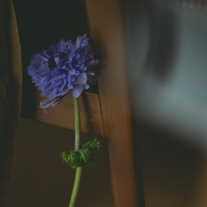 收听北村蕗的anemone歌词歌曲