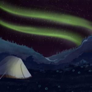 Album Boreal nights from Prins