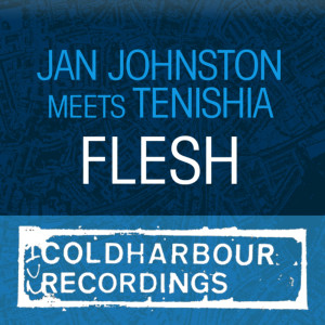 ดาวน์โหลดและฟังเพลง Flesh (Glenn Morrison Remix) พร้อมเนื้อเพลงจาก Jan Johnston