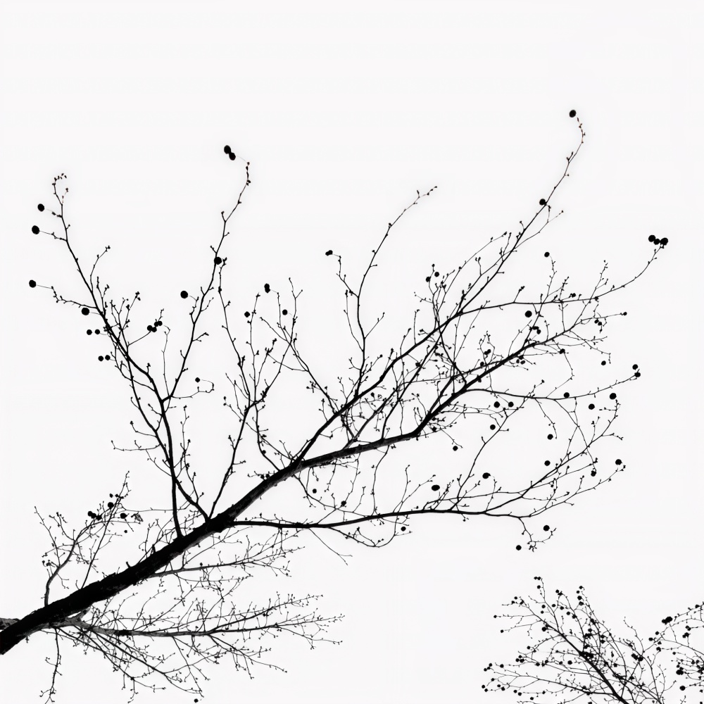 this is what sadness feels like (Live)