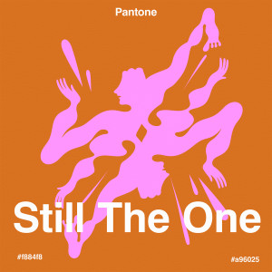 Listen to Still The One song with lyrics from Pantone