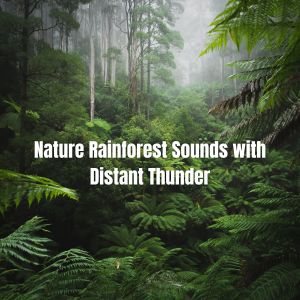 Echoes of Nature的专辑Nature Rainforest Sounds with Distant Thunder