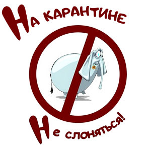 На карантине - не слоняться! (Explicit) dari Various Artists