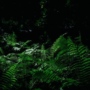 Calm & Affirming Chill Atmosphere Music dari Entspannungsmusik