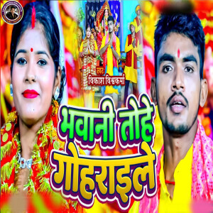 Vikash Vishwakarma的專輯Bhawani Tohe Gohraile