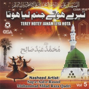Muhammad Milad Raza Qadri的專輯Terey Hotey Janam Liya Hota - Vol. 5