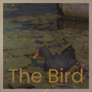 Dengarkan The Bird lagu dari Charlie Parker dengan lirik