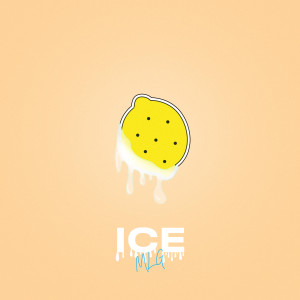 Album ICE from Frank Meta