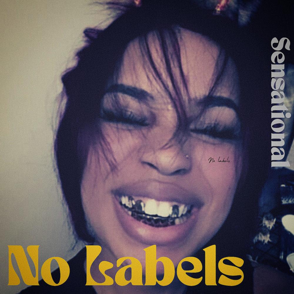 No Labels (feat. Prod.emeelya & Prod.aBonbeatz) (Explicit)
