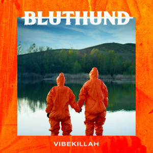 Listen to Vibekillah (Explicit) song with lyrics from Bluthund