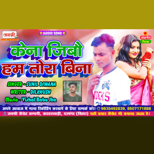 Listen to Kena Jibau Ham Tora Bina song with lyrics from Sunil Diwana