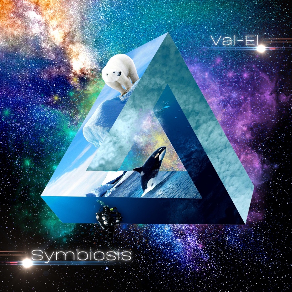 Symbiosis (Instrumental Experience)