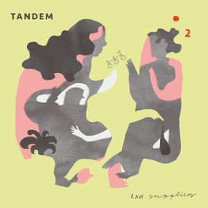 Listen to Take a Hit song with lyrics from Raw-Suppliers