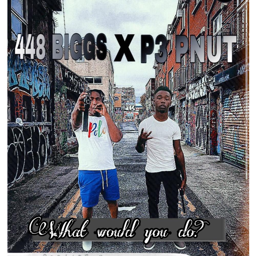 WHAT WOULD YOU DO Pt. 2 (feat. 448BIGGS) (Explicit)