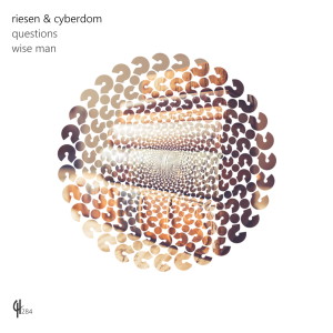 Listen to Questions song with lyrics from Riesen
