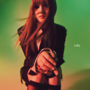 ดาวน์โหลดและฟังเพลง 왜 (Feat. 개코) พร้อมเนื้อเพลงจาก 쏠