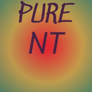 Listen to Pony Liz song with lyrics from Varant