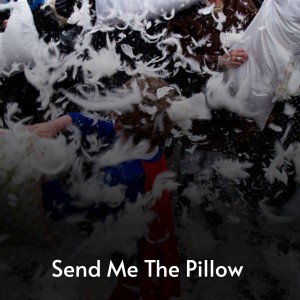 Listen to Send Me the Pillow song with lyrics from Hank Locklin