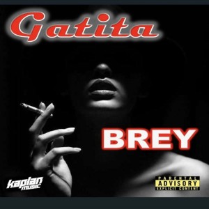 Album Gatita (Explicit) from Brey