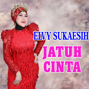 Elvy Sukaesih的专辑JATUH CINTA