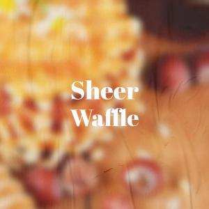 收听Steph Citi的Concussed Cafeteria歌词歌曲