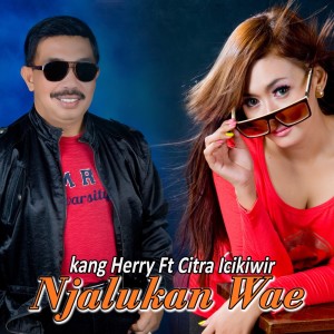 收聽Kang Herry的Njalukan Wae歌詞歌曲