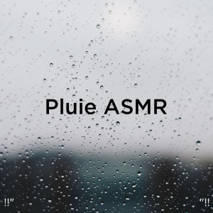 Dengarkan Mindfulness Nature & Rain lagu dari Rain Sounds dengan lirik