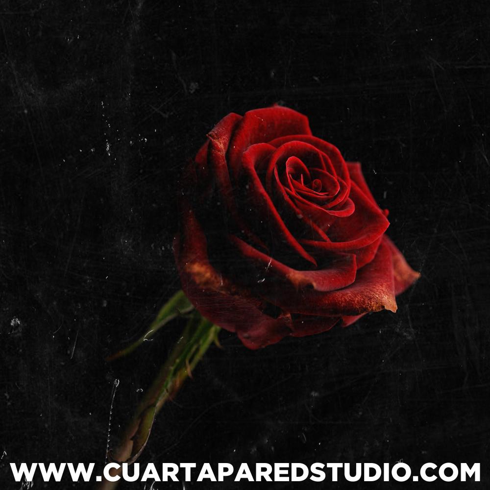Lunatica Drill Romantico (Instrumental Drill Romantico)