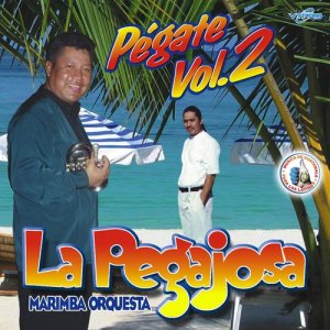 Pégate Vol. 2. Música de Guatemala para los Latinos