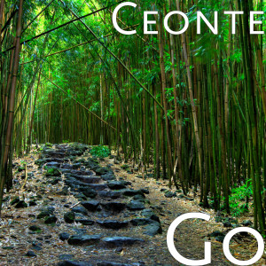 Album Go (Explicit) from Ceonte