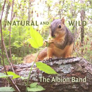 ดาวน์โหลดและฟังเพลง See this lake,son? พร้อมเนื้อเพลงจาก The Albion Band