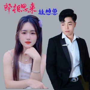 杨国明的专辑郎相思来妹相思