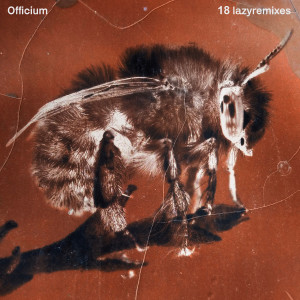 Listen to Loose Fit (Jonquera Remix) song with lyrics from Officium