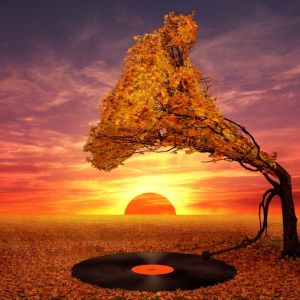 default playlist img