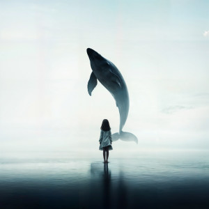 Album Filla del Mar from 