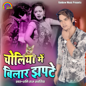 Listen to Choli Me Bilar Jhapte song with lyrics from Sunny Raj Sawariya