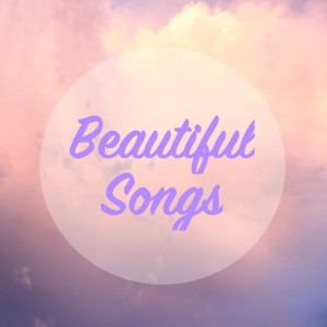 Listen to The Boxer song with lyrics from Wildlife
