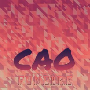 Listen to Cao Funebre song with lyrics from Tente Tyna