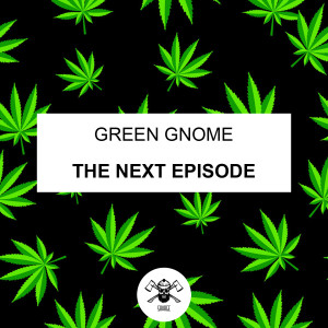 Dengarkan The Next Episode (Extended Mix) lagu dari Green Gnome dengan lirik
