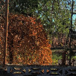 收聽5G NETWORK的runnininthesun (Explicit)歌詞歌曲