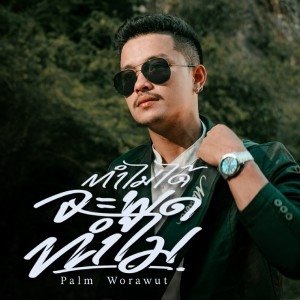 Album ทำไม่ได้จะพูดทำไม from Palm Worawut