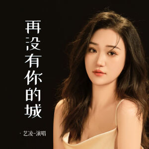 Album 再没有你的城 oleh 小小杨玉莹