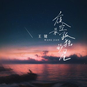 Album 夜空最孤独的星 from 王键