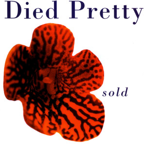 ดาวน์โหลดและฟังเพลง Sold พร้อมเนื้อเพลงจาก Died Pretty