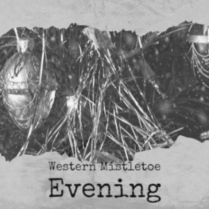 Listen to Silent Night song with lyrics from St Michael's Christmas Club